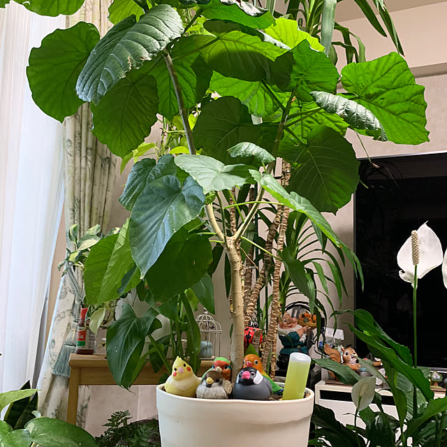Aqettyさんの部屋