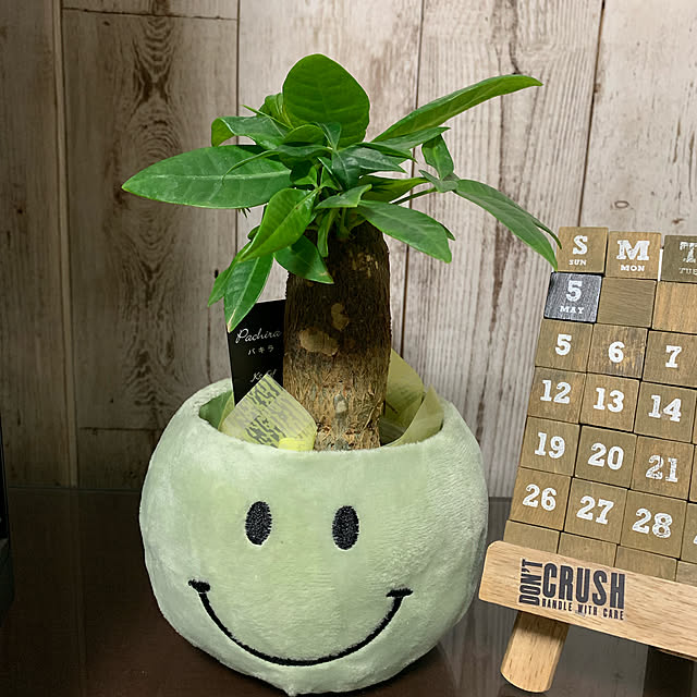 cloverさんの実例写真