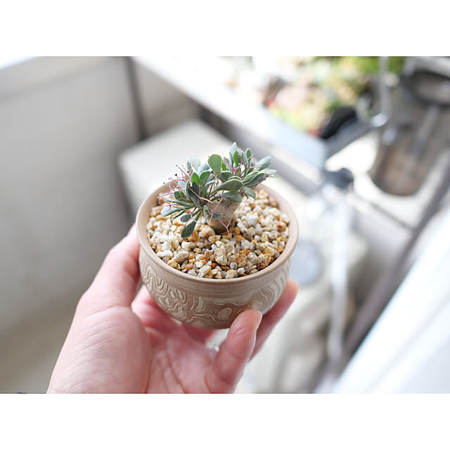 w_end_0625さんの実例写真