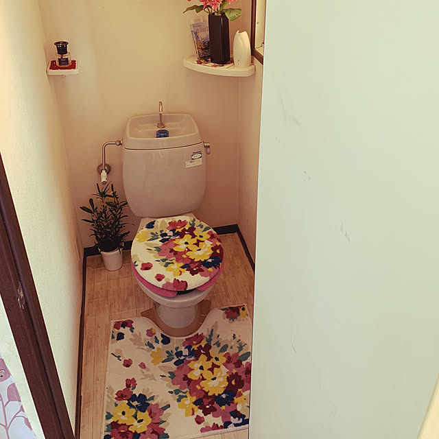 Carmelaさんの実例写真