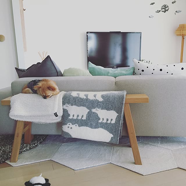 haruhinaさんの実例写真