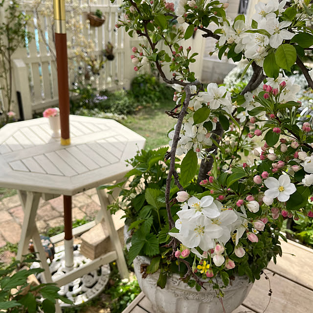 sakuraさんの部屋