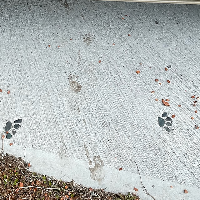 nekosamaさんの実例写真
