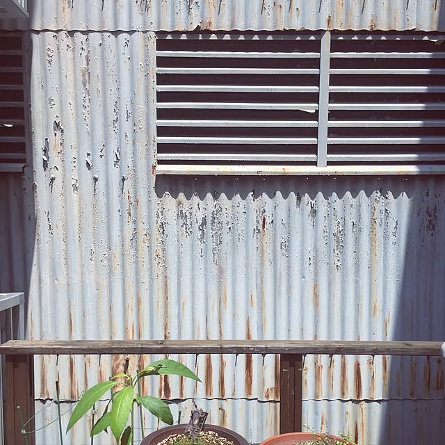 natuumi12さんの実例写真
