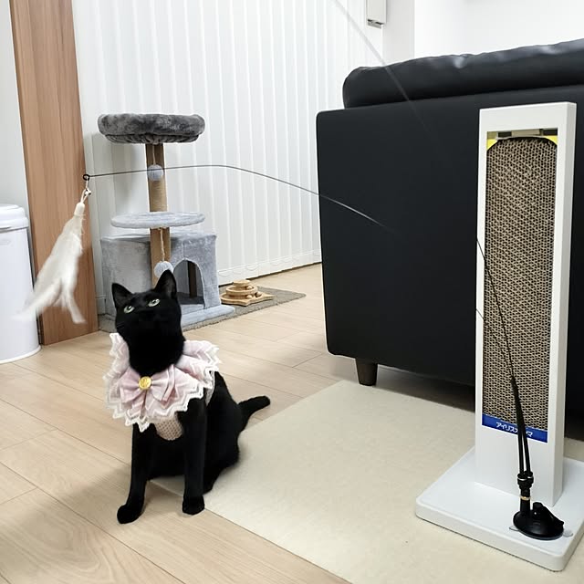 sakuraさんの部屋