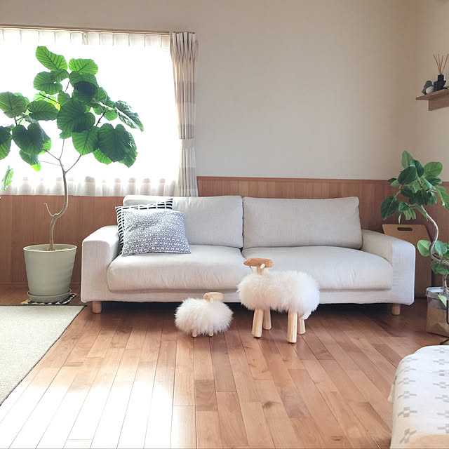 sorasoraさんの実例写真