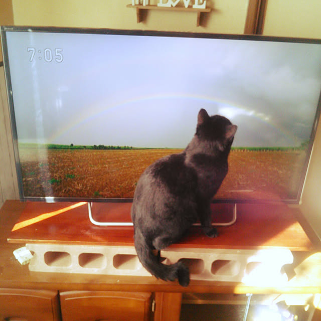 Tomopさんの実例写真