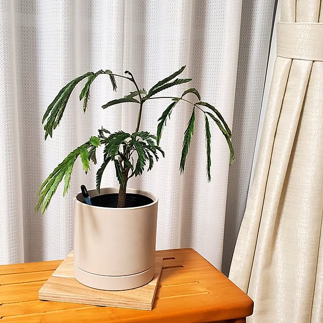 tokkiさんの部屋