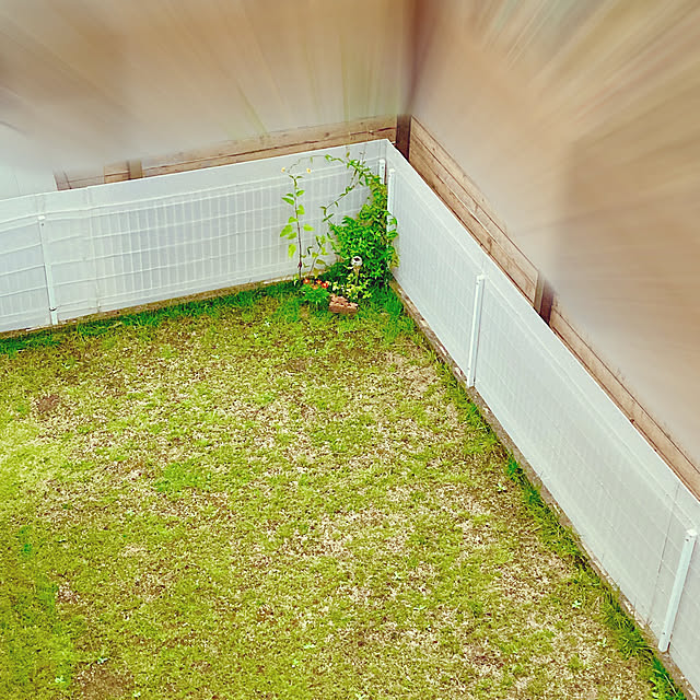 Mayさんの実例写真