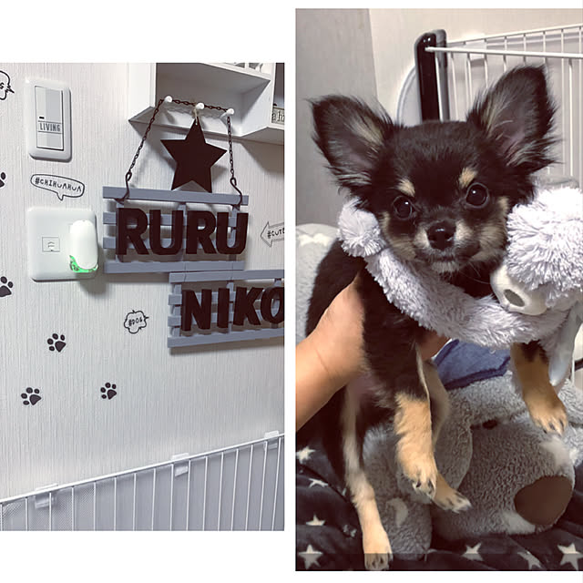ruteiさんの実例写真