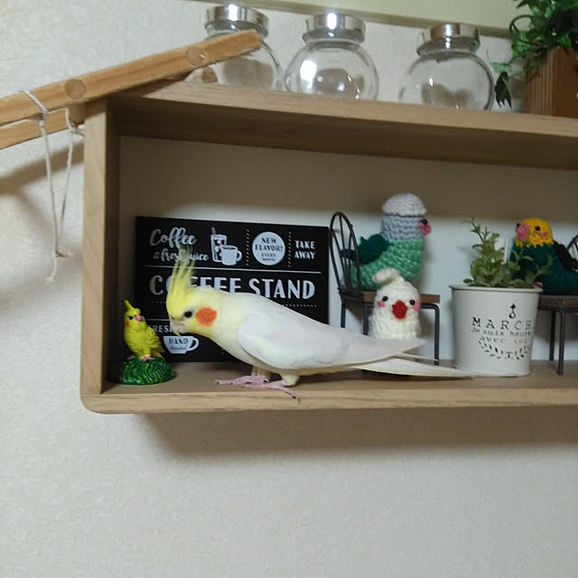 toratanさんの実例写真