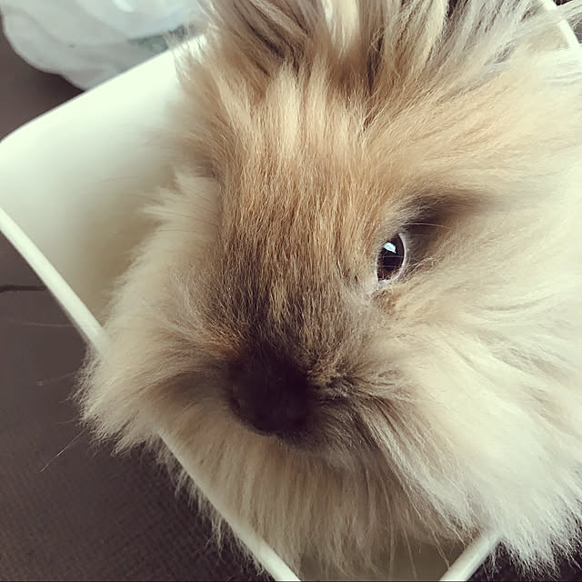 mさんの実例写真