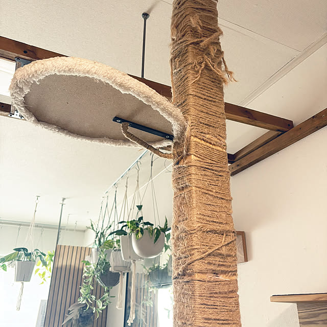 masamasaさんの実例写真