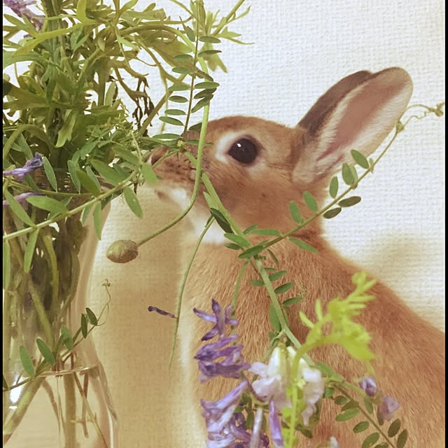 ma-tanさんの実例写真