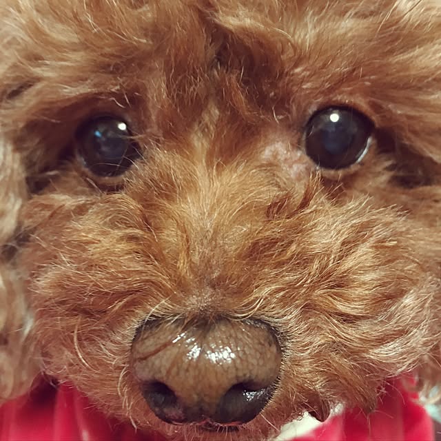 Hecacoさんの実例写真