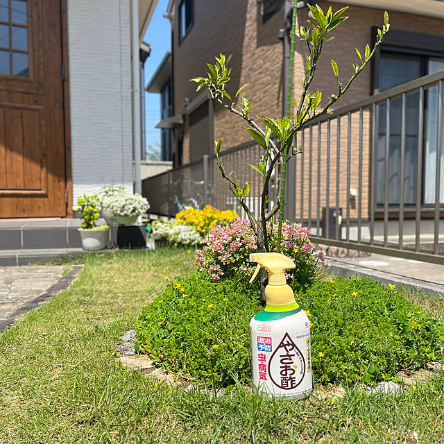 siosai10さんの実例写真