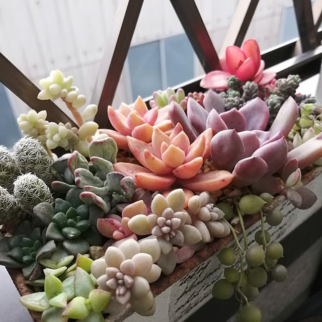 teruminさんの部屋