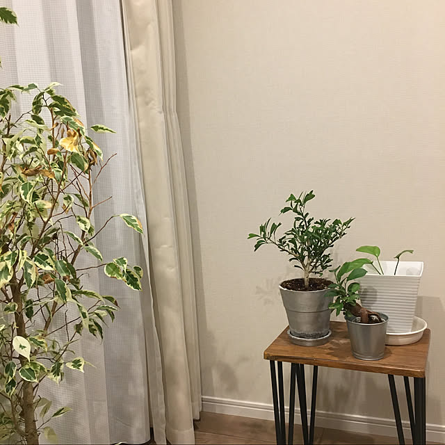 onsさんの実例写真