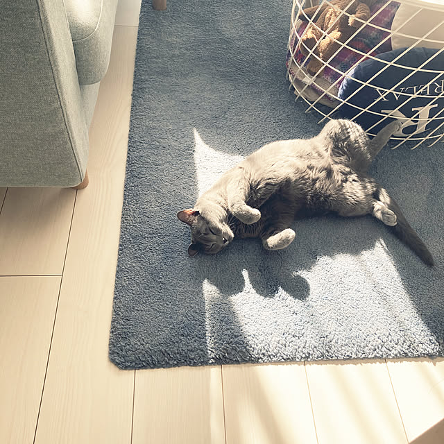 snoopyさんの実例写真