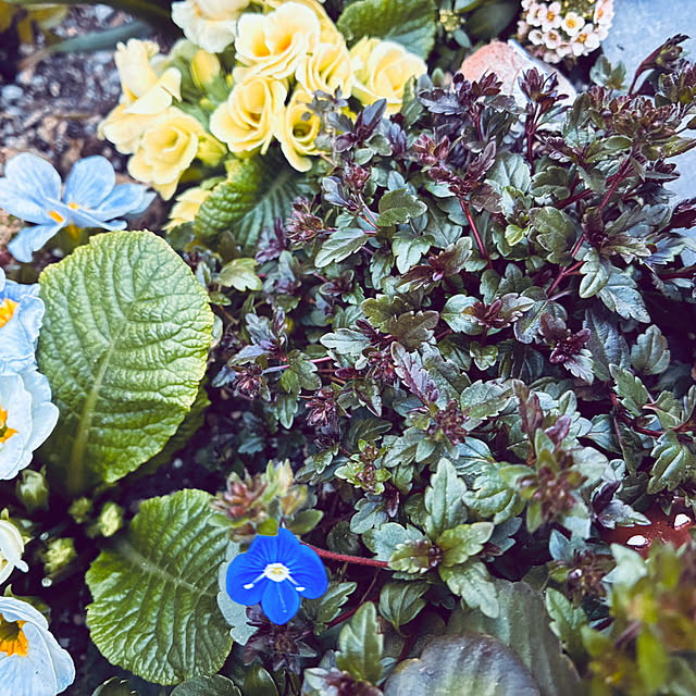 kikiさんの実例写真