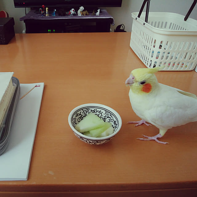 pontaさんの実例写真