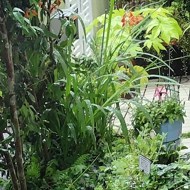 katさんの部屋