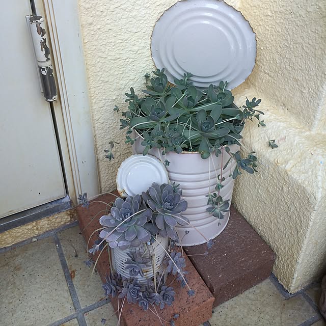 coraruさんの実例写真