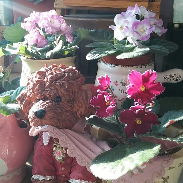 Karkeeさんの実例写真
