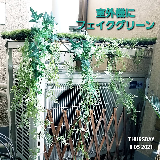 takoさんの実例写真