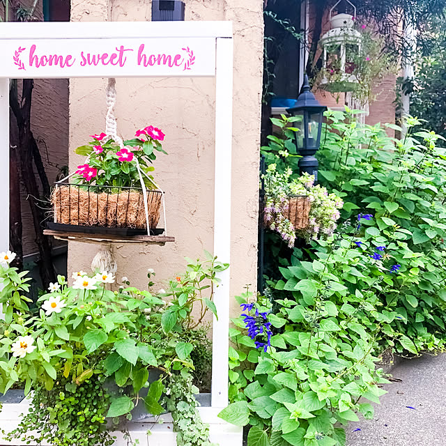 kumchanさんの実例写真