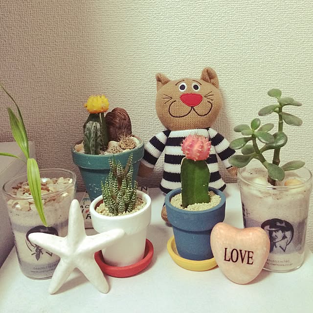 nico.noriさんの実例写真