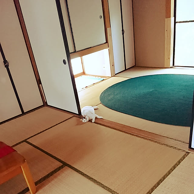 uchizukonyanさんの実例写真