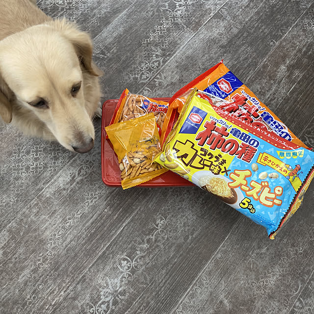 uninekoさんの実例写真