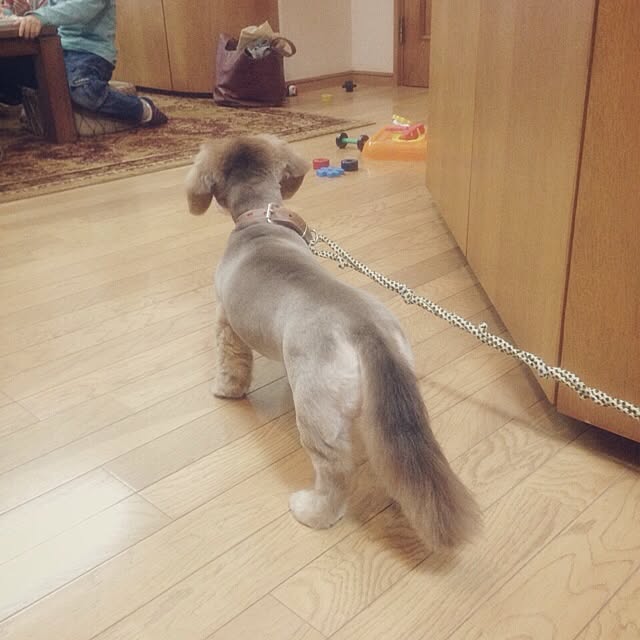 mayRin.さんの実例写真