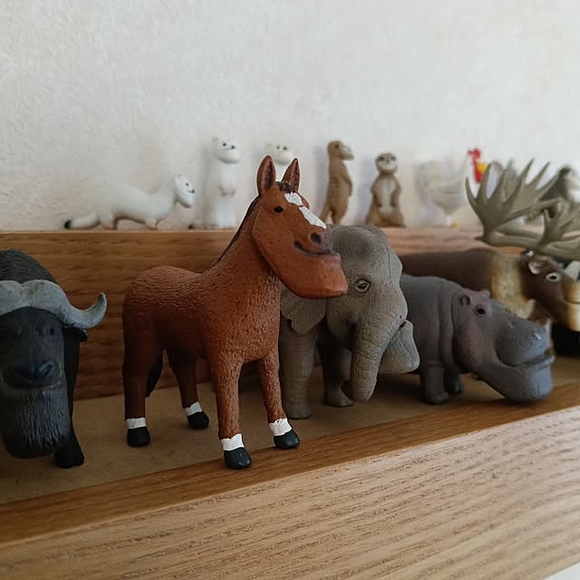 wanidaさんの実例写真