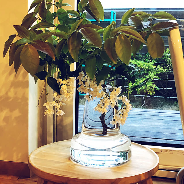 johnp._.qtotoさんの実例写真
