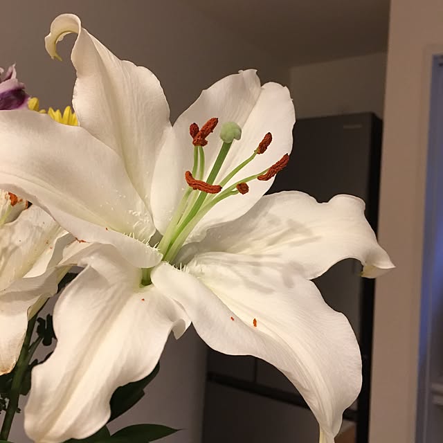 t.k.mさんの実例写真