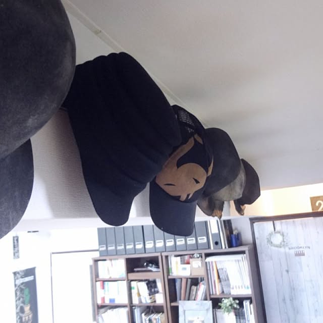 oririnさんの実例写真