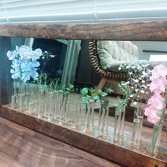 壁/天井/水栽培/植物のある部屋/室内グリーン/ミラー...などのインテリア実例 - 2014-08-26 22:14:30