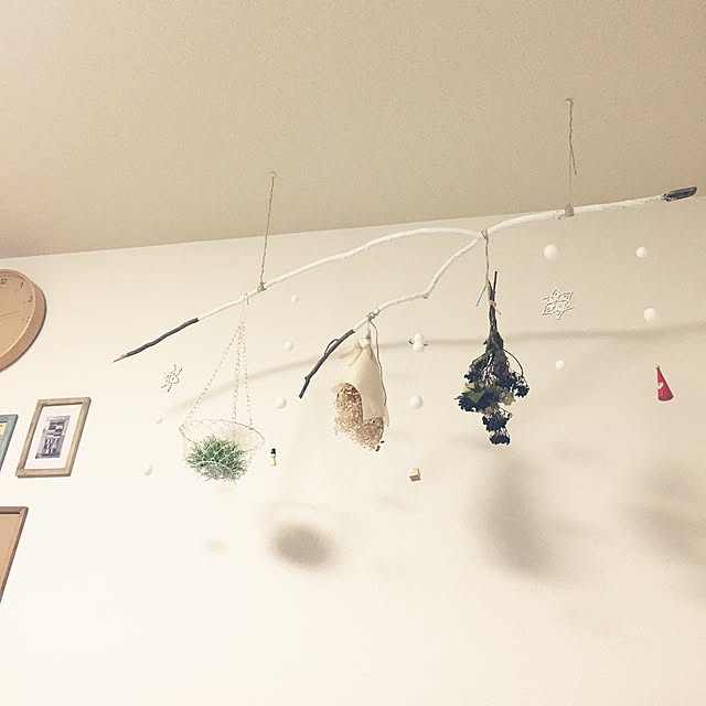 Riaさんの実例写真