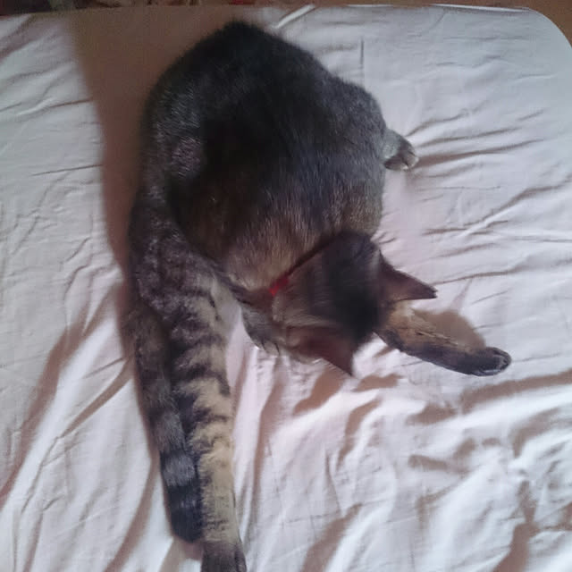 lilyさんの実例写真