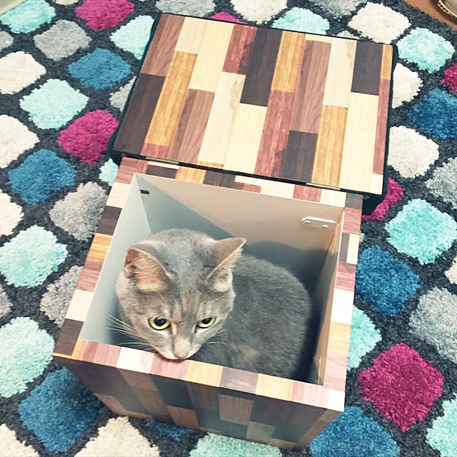 pittさんの実例写真