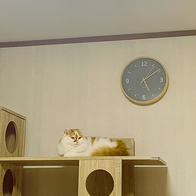 keiさんの実例写真
