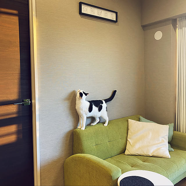 wakooさんの実例写真