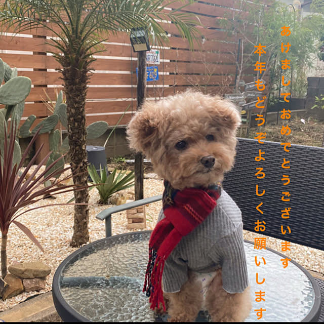 mococoさんの実例写真