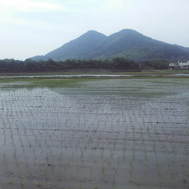 yu-ya1124さんの実例写真