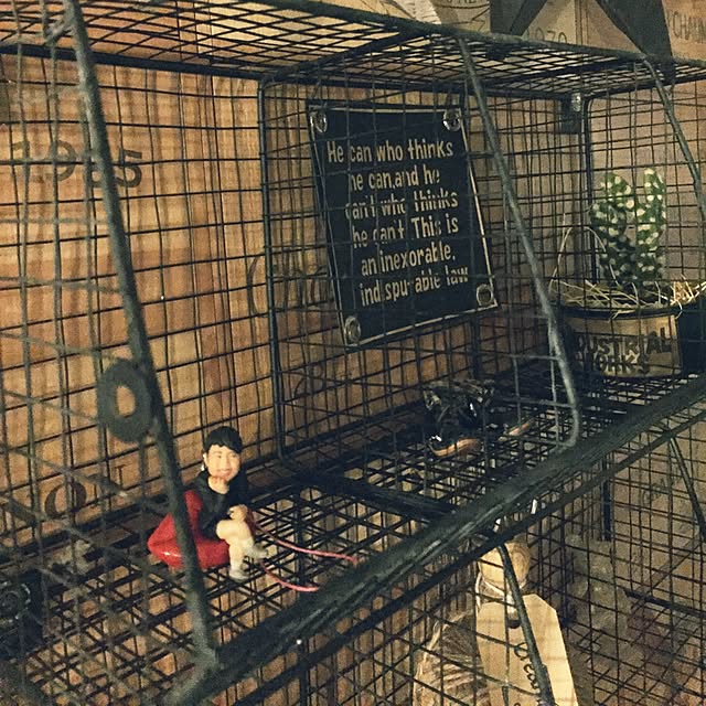 kiyomiさんの実例写真