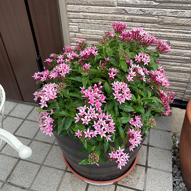 ronronさんの部屋