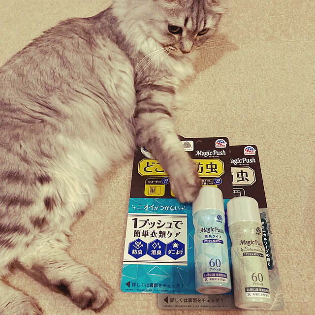 kkkさんの部屋