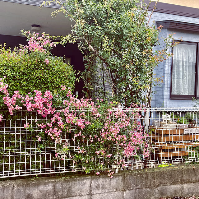 CoCo0617さんの部屋